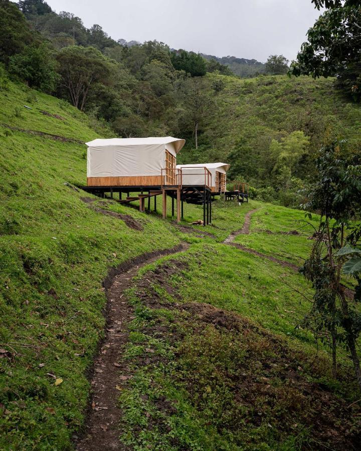 Birdglamping Los Arboles Glamping Hotel Salento Exterior photo